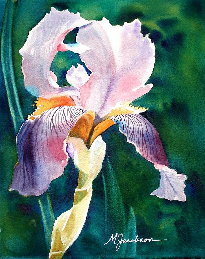 Iris 1 Painting by Marilyn Jacobson