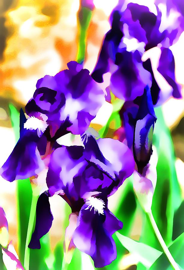 Flower Photograph - Iris 63 by Pamela Cooper