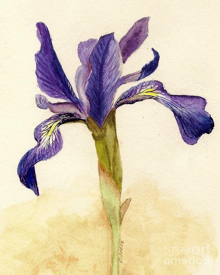Iris Painting by Barbie Corbett-Newmin