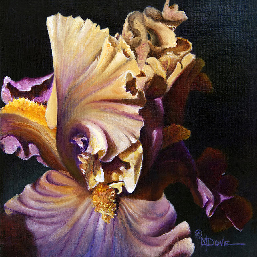 Iris Bearded Wonder Painting by Mary Dove