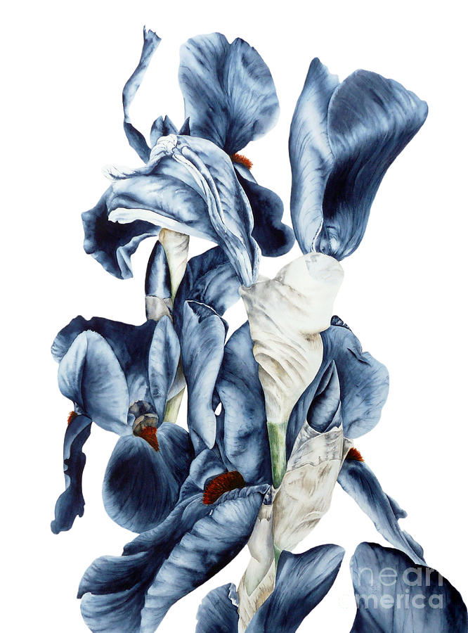 Iris Painting - Iris Bouquet by Marie Burke