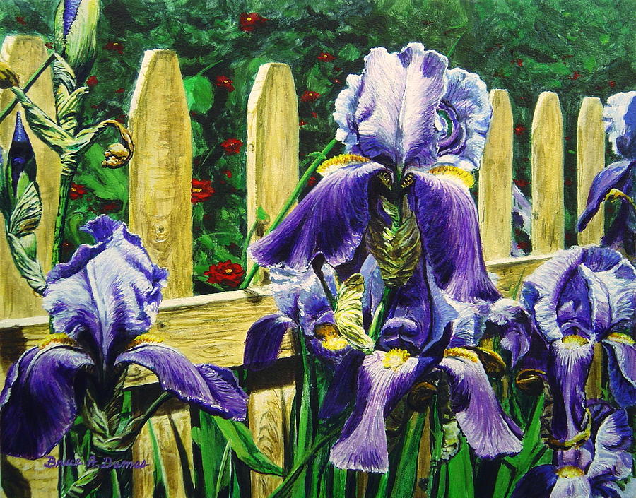 Iris By The Fence Painting by Bruce Dumas