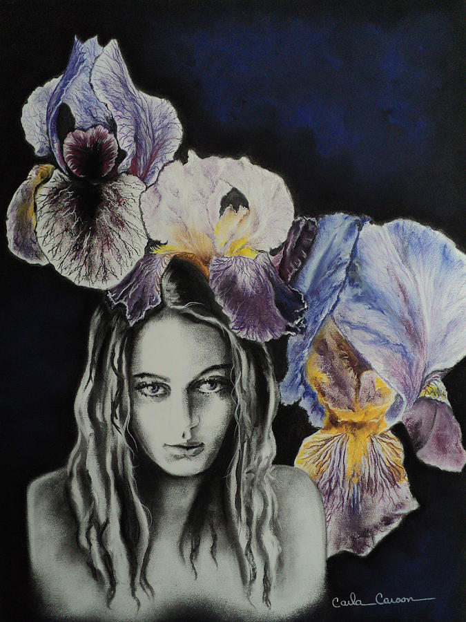 Iris Drawing - Iris by Carla Carson