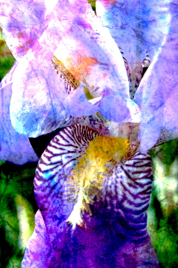 Iris Closeup 2 and Abstract Painting Digital Art by Anita Burgermeister