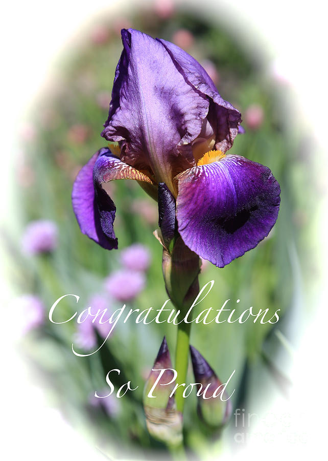 Iris Congratulations Card Photograph by Carol Groenen