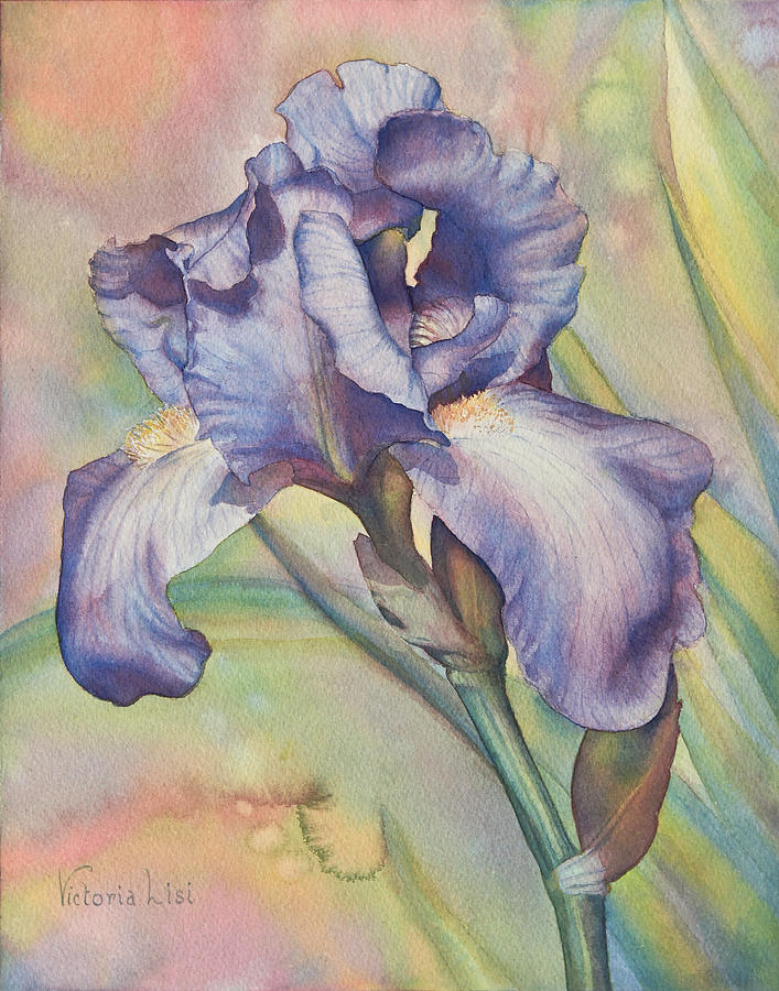 Iris Painting - Iris Dreaming by Victoria Lisi