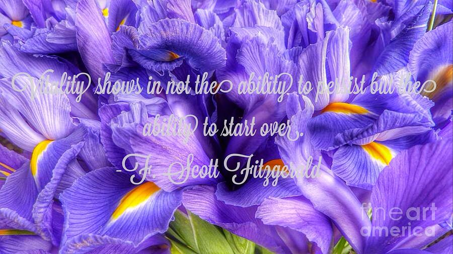 Iris Flower Quote Photograph by Susan Garren