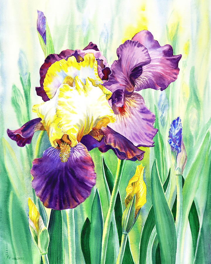 Iris Flowers Garden Painting by Irina Sztukowski