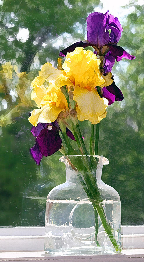 Iris Flowers on Windowsill Photograph by Karen Adams