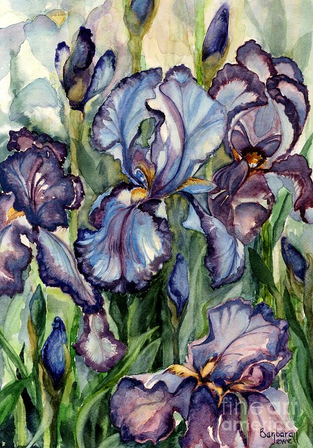 Iris Garden Painting by Barbara Jewell