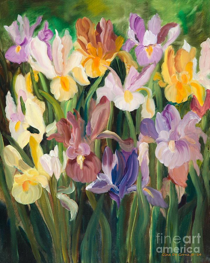 Iris Garden Painting by Gina De Gorna