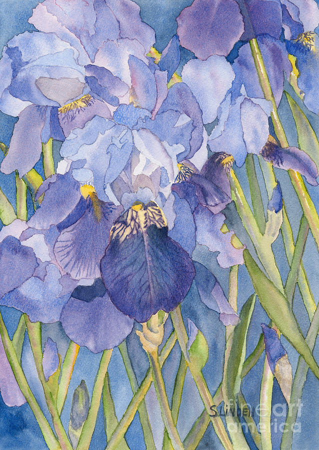 Iris III Painting by Sandy Linden