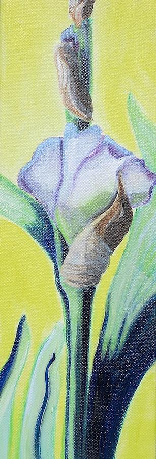 Iris in Bloom Painting by Melissa Torres
