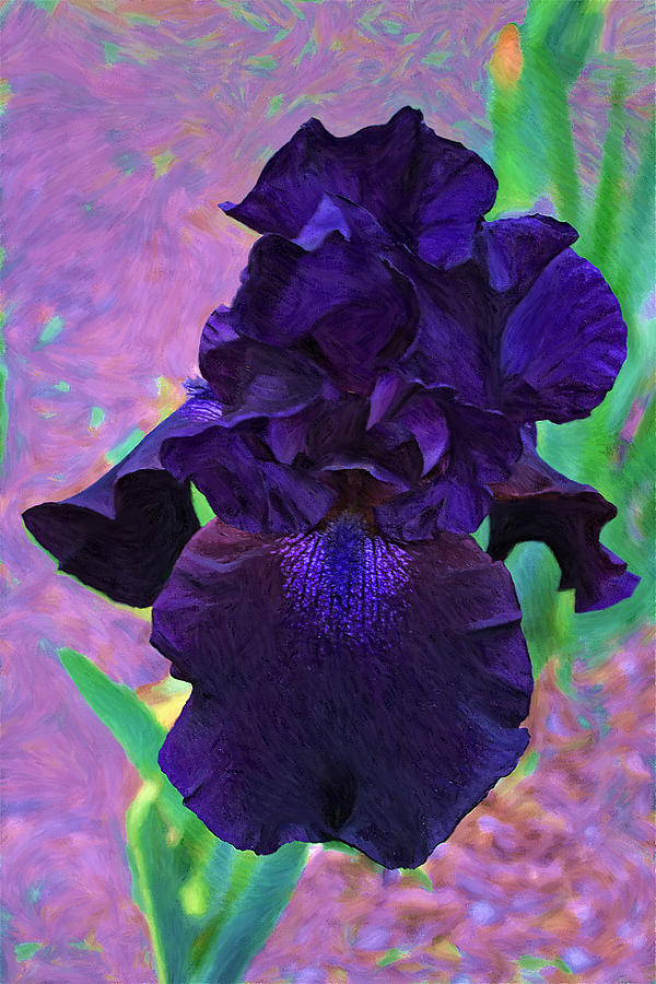 Iris In Dark Blue Dress Pastel by Viktor Savchenko