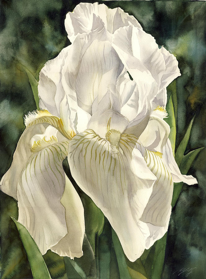 Iris Painting - Iris In Spring by Alfred Ng