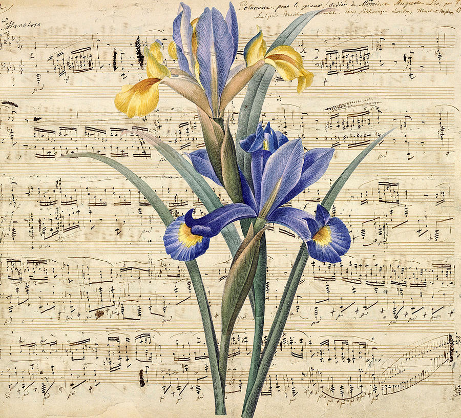 Iris Music Digital Art by Evey Studios Fine Art America