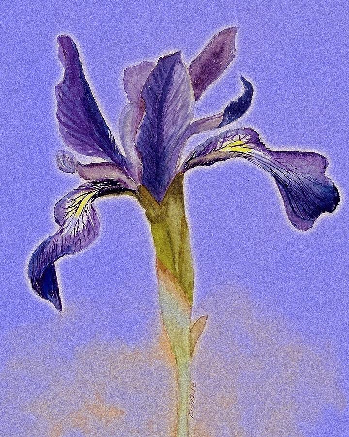 Iris on Blue Painting by Barbie Corbett-Newmin