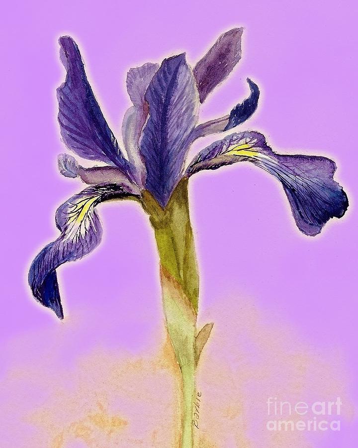 Iris on lilac Painting by Barbie Corbett-Newmin