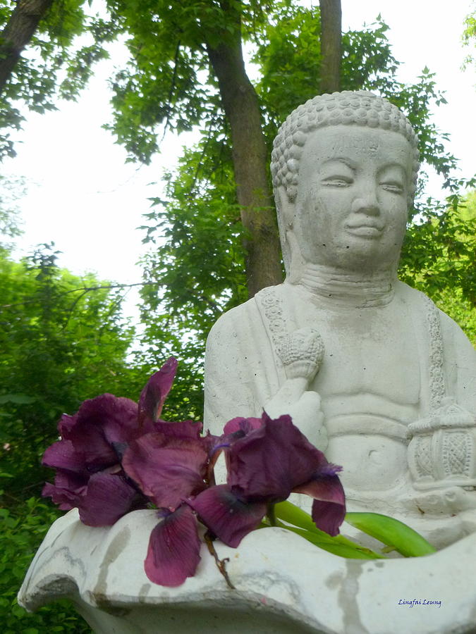 Iris on the Buddha Fountain Photograph by Lingfai Leung