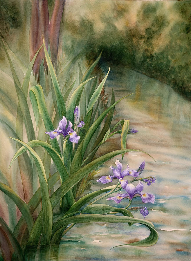 Iris Over the Inlet Painting by Johanna Axelrod