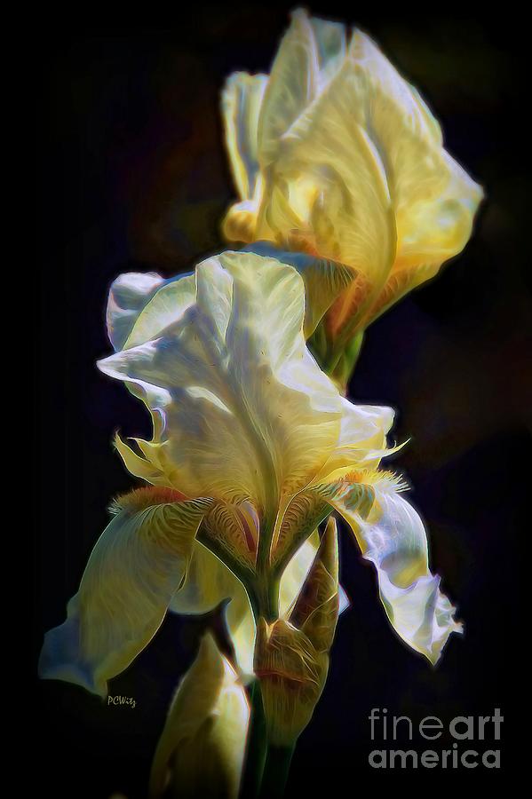 Iris Photograph by Patrick Witz