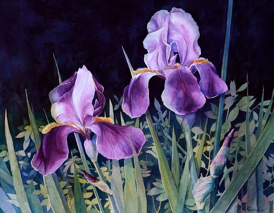 Iris Painting by Renae Hill - Fine Art America