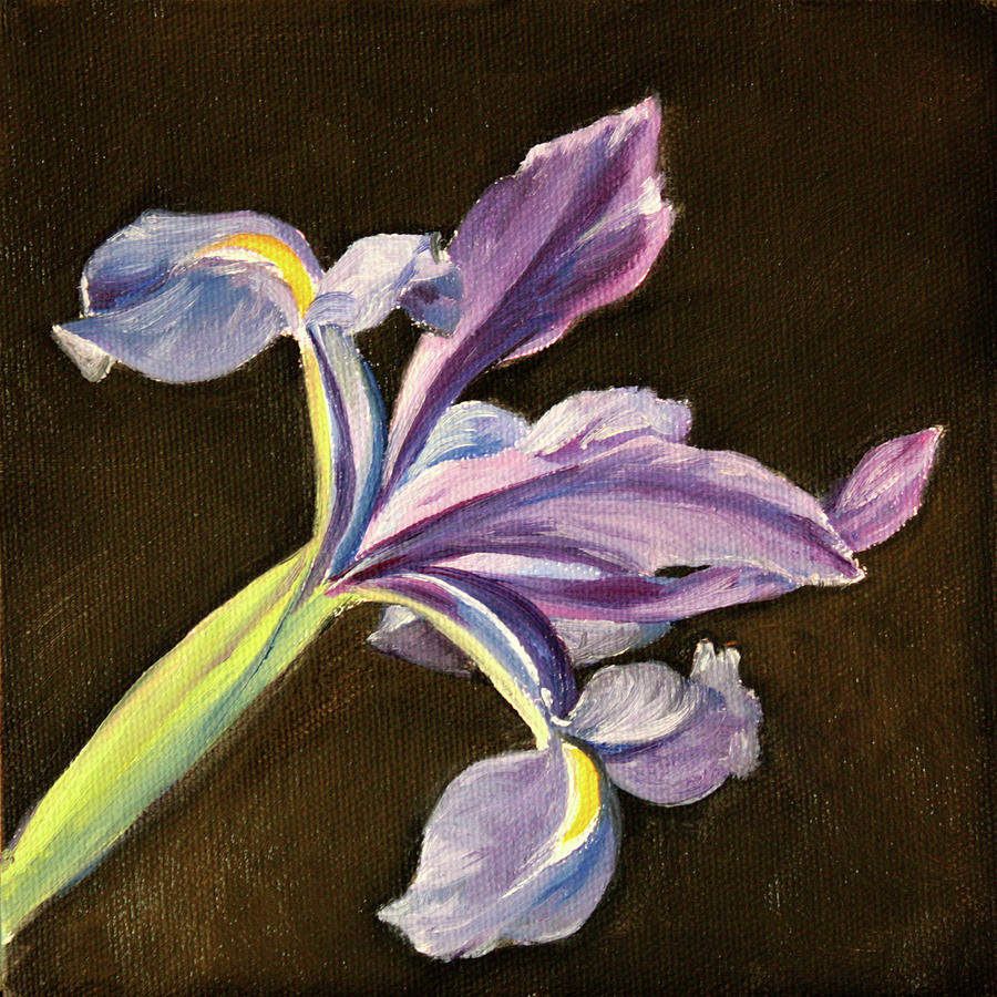 Iris Painting by Sarah Lynch