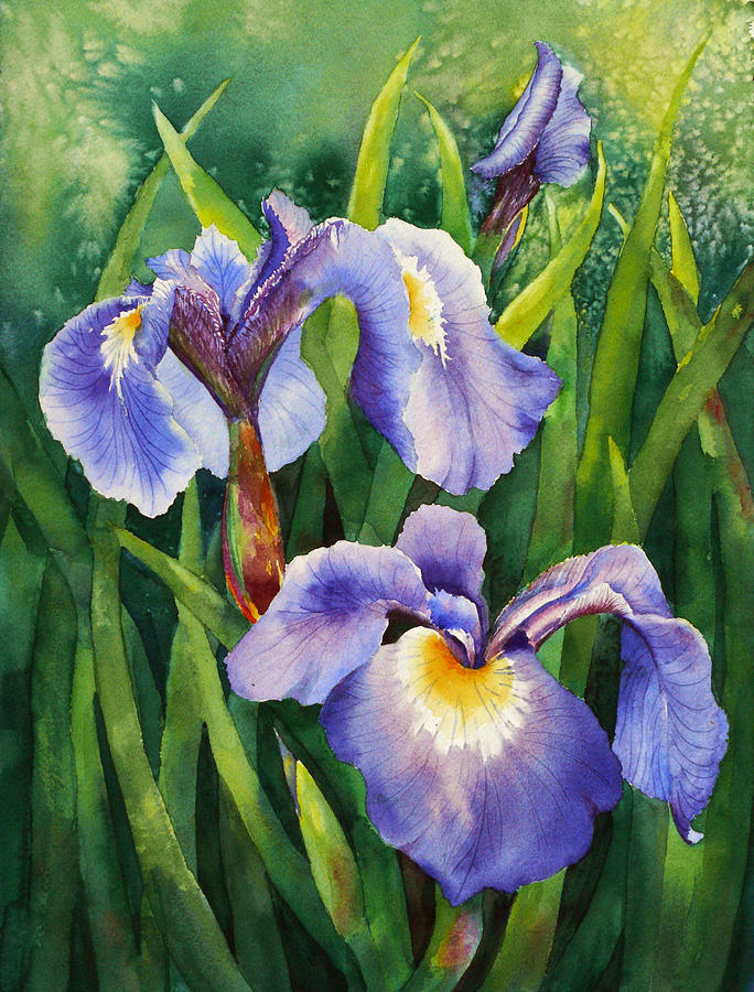 Iris setosa Alaska Painting by Karen Mattson - Fine Art America