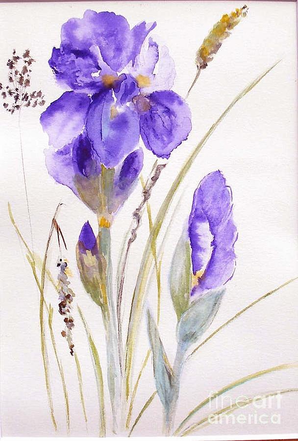 Flower Painting - Iris by Sibby S