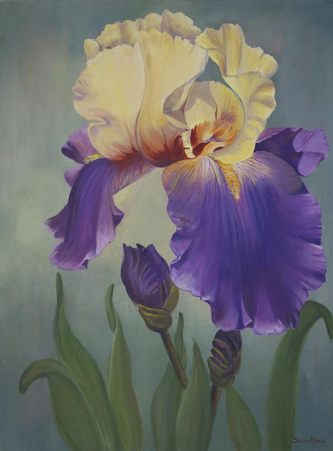 Iris Painting by Stella Marin