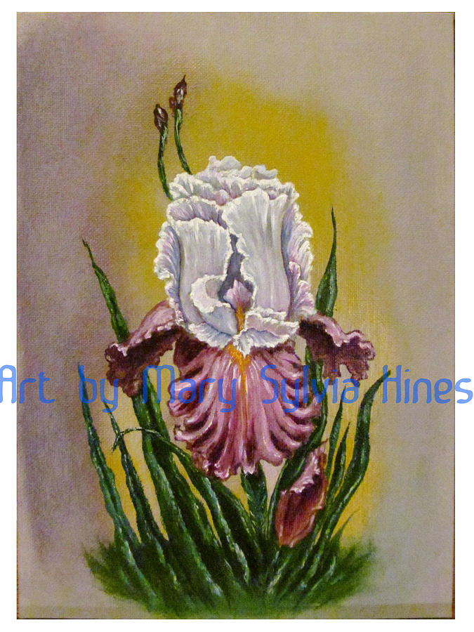 Paintings Painting - Iris Study V2 by Mary Sylvia Hines Paintings Painting - Iris Study V2 by Mary Sylvia Hines