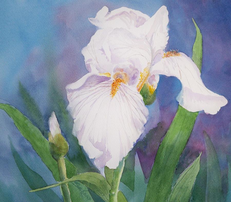 Iris Painting by Sue Kemp