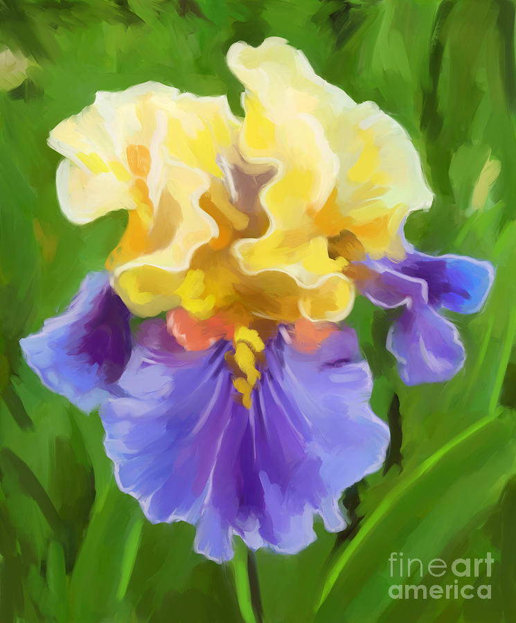 Iris-Yellow And Purple Painting by Tim Gilliland
