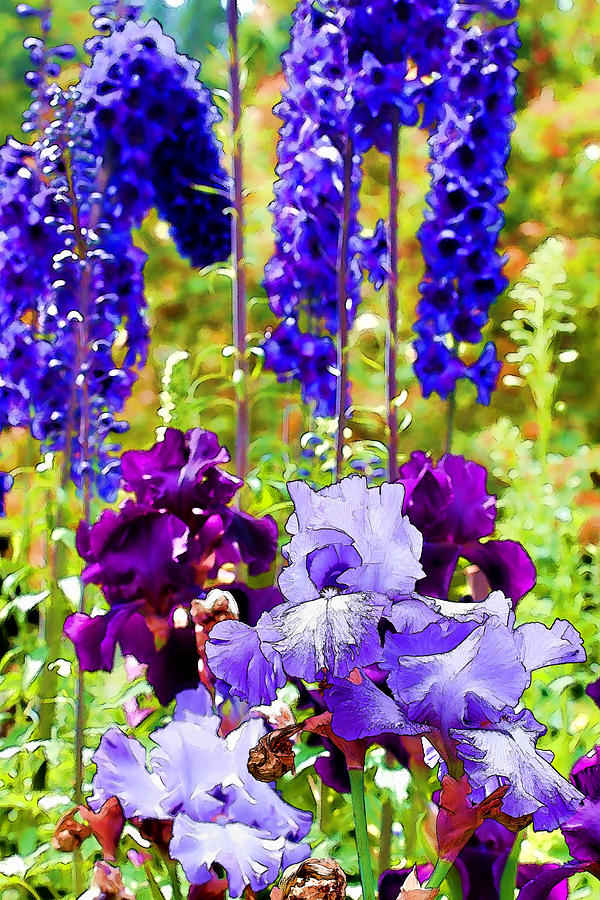 Irises and Delphinium in the Garden Photograph by Peggy Collins