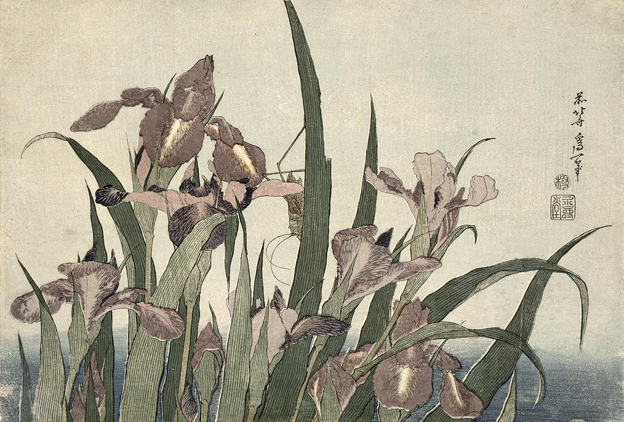 Irises And Grasshopper Painting by Katsushika Hokusai