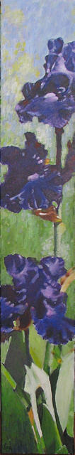 Irises for Nat Painting by Anne F Marshall