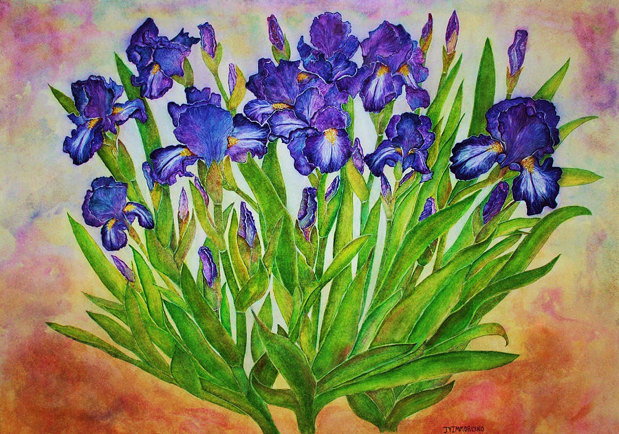 Irises Painting by Janet Immordino