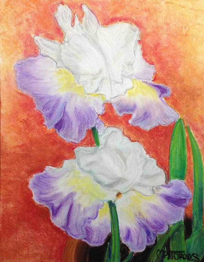 Irises Pastel by Melissa Torres