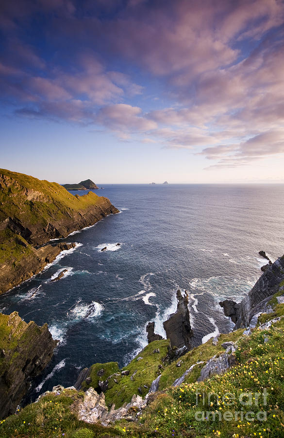 Irish Cliffs Photograph by David Lichtneker