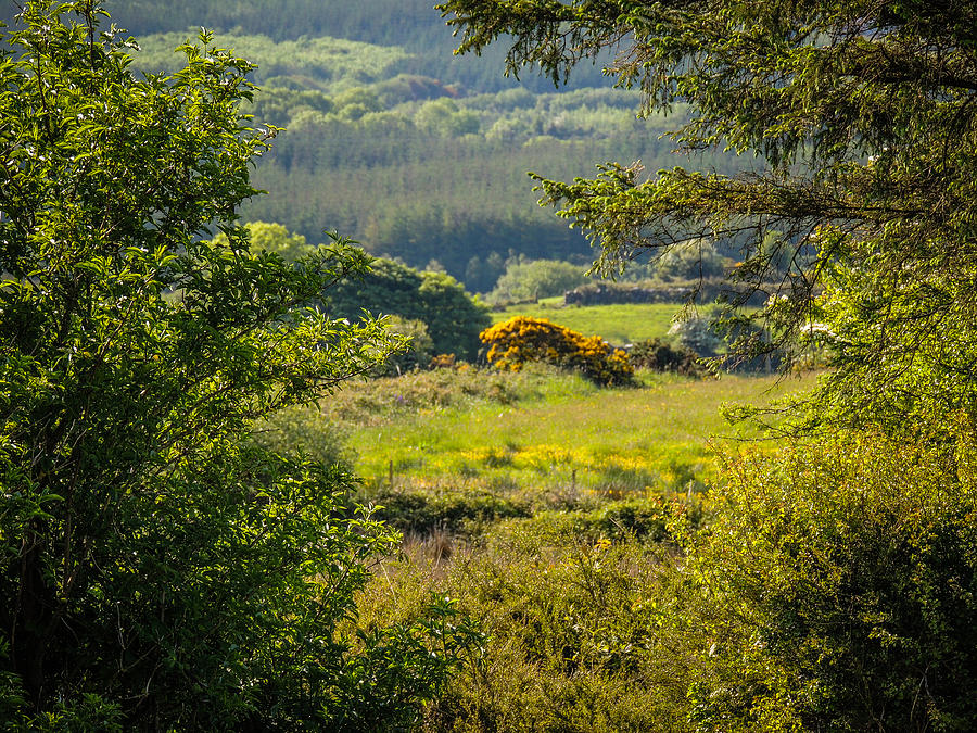 Irish Countryside in Spring Photograph by James Truett
