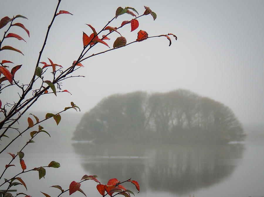Irish Crannog in the Mist Photograph by James Truett