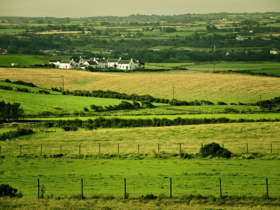 Irish Farm Photograph by Haoliang