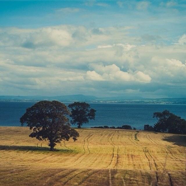 Landscape Photograph - Irish Field by Aleck Cartwright