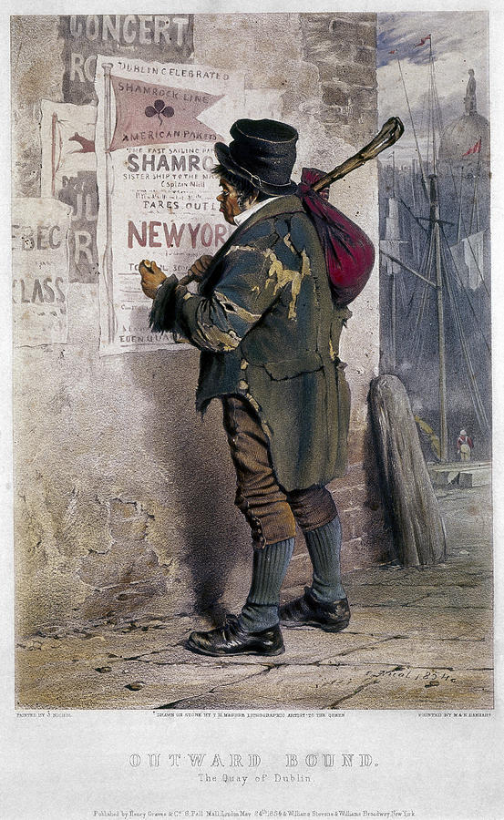 Irish Immigrant, 1854 Drawing by Granger Pixels