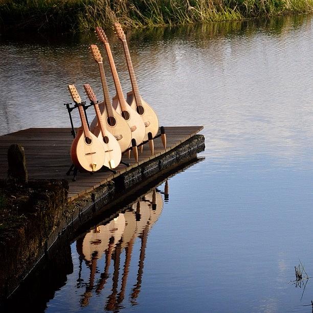 Music Photograph - Irish Instruments In The Landscape by J Catherwood