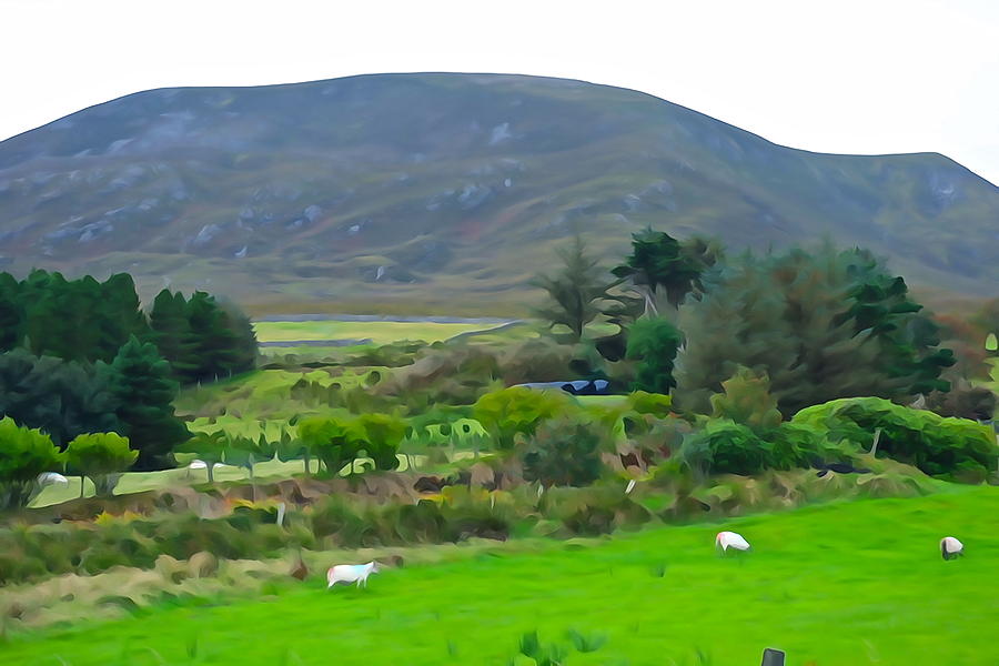 Sheep Photograph - Irish Landscape by Norma Brock