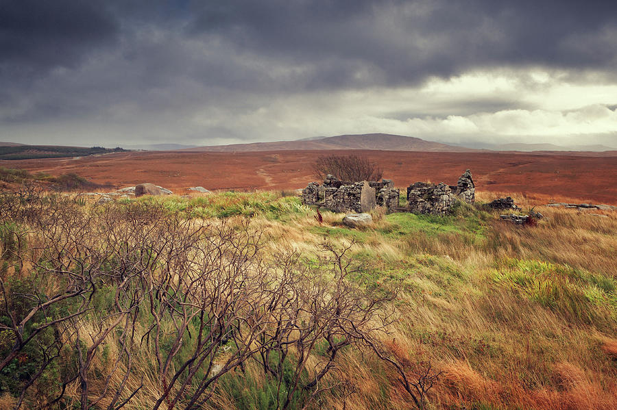 Irish Landscape Photograph by Mammuth