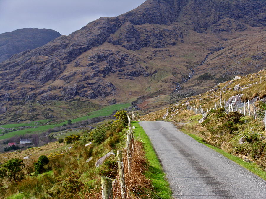 Irish Road Photograph by Suzanne Oesterling