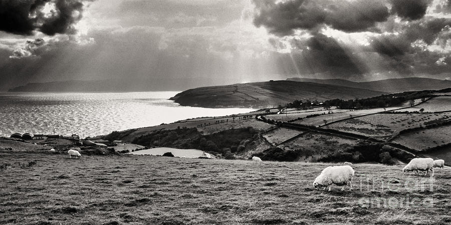 Irish Sea and Coast Photograph by Thomas R Fletcher
