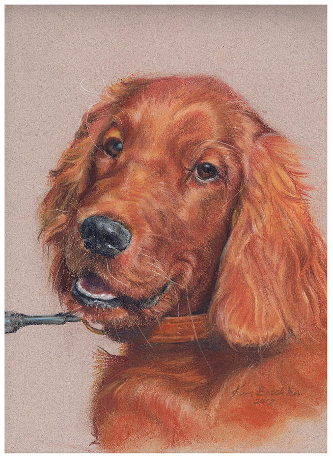Dog Painting - Irish Setter by Kim Brecklein